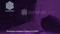 PS Solutions